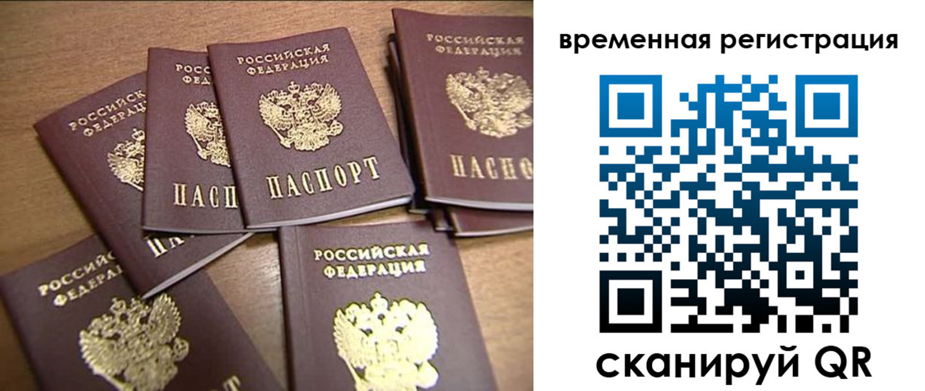 прописка ребенка в Заполярном